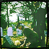 graveyardlj