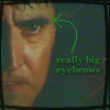 eyebrowslj
