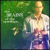 brainslj
