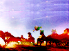 fireflylj
