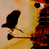 dalekbirdlj
