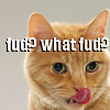 lolcats5lj