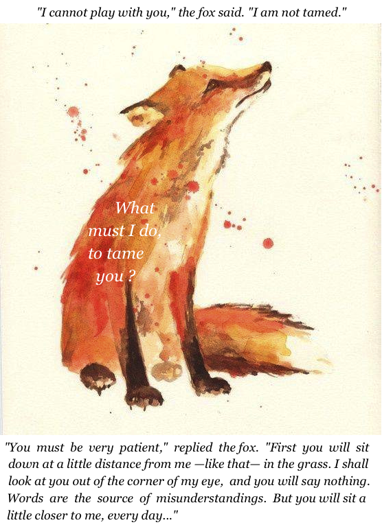 tumblr_msv195d8sp1rby7sqo1_640