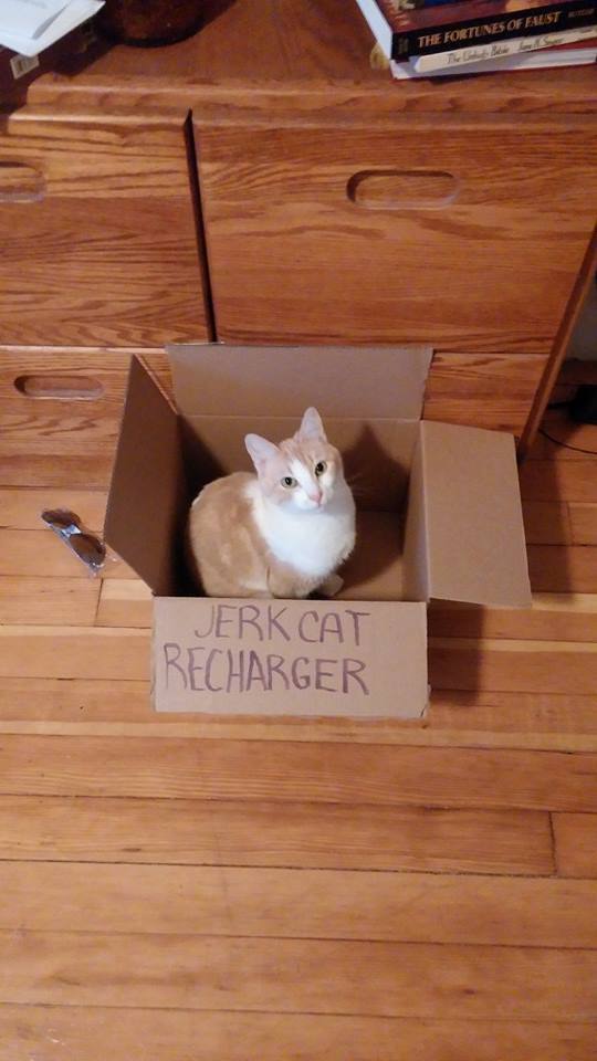 tumblr_n01rxmRUcv1re7gdio1_640