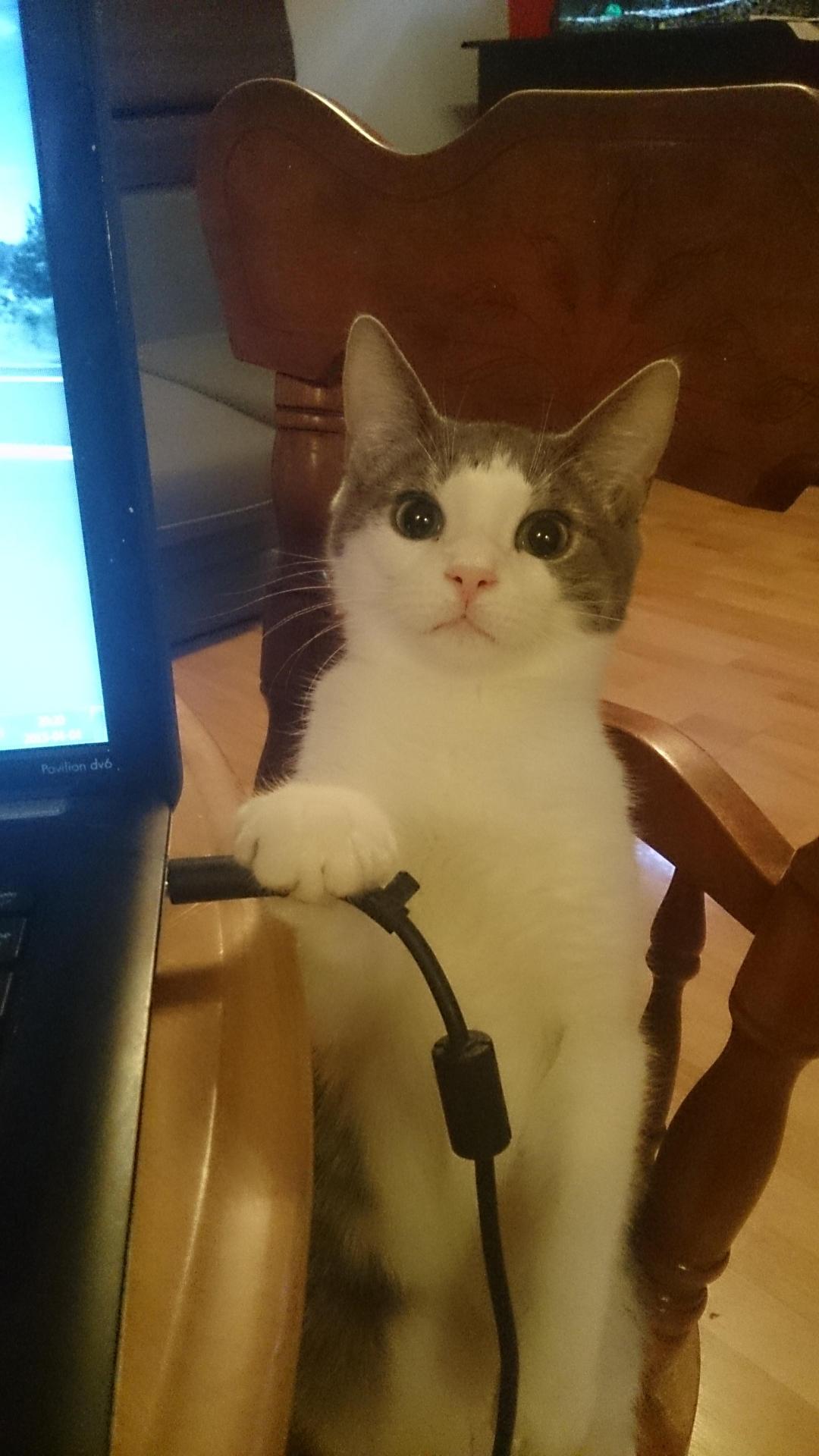 tumblr_nmbdh5yn5m1sn75h6o1_1280