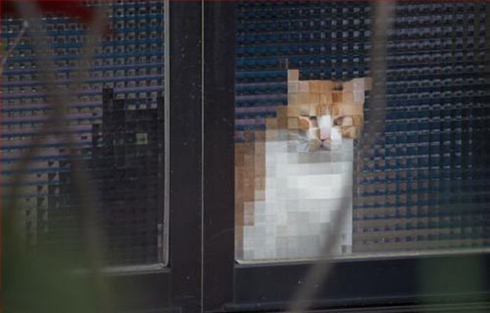 tumblr_nq0fp9m3SB1rsxqqio1_1280