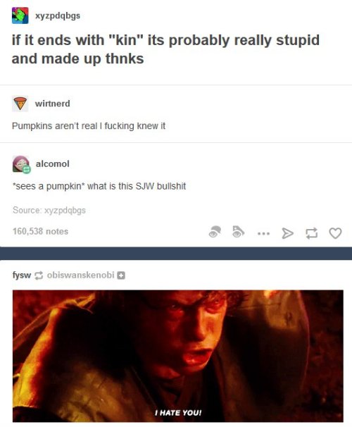 tumblr_o3yazhfmT71r1rmzqo1_500