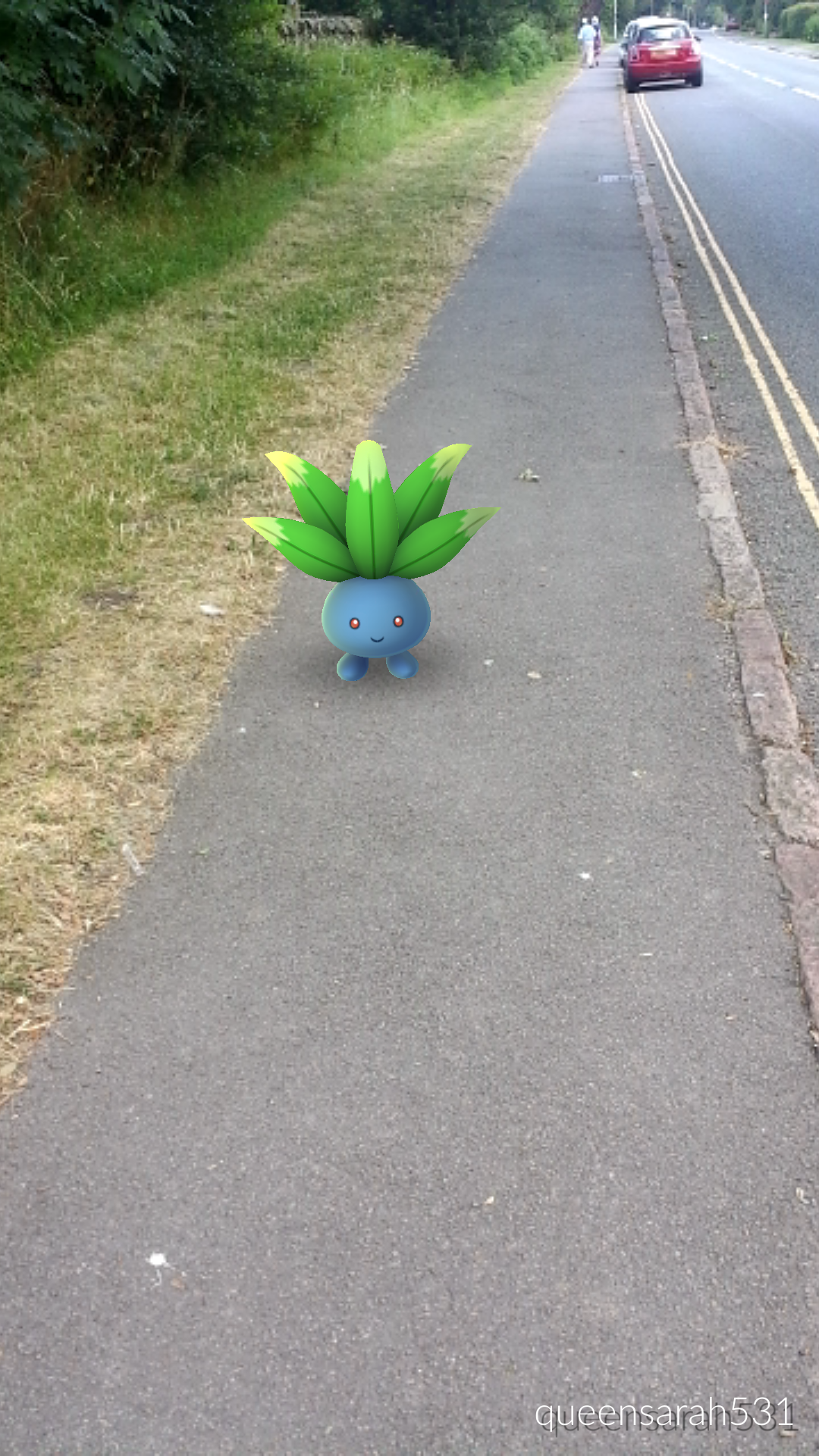 IMG_2016-07-23-13360359