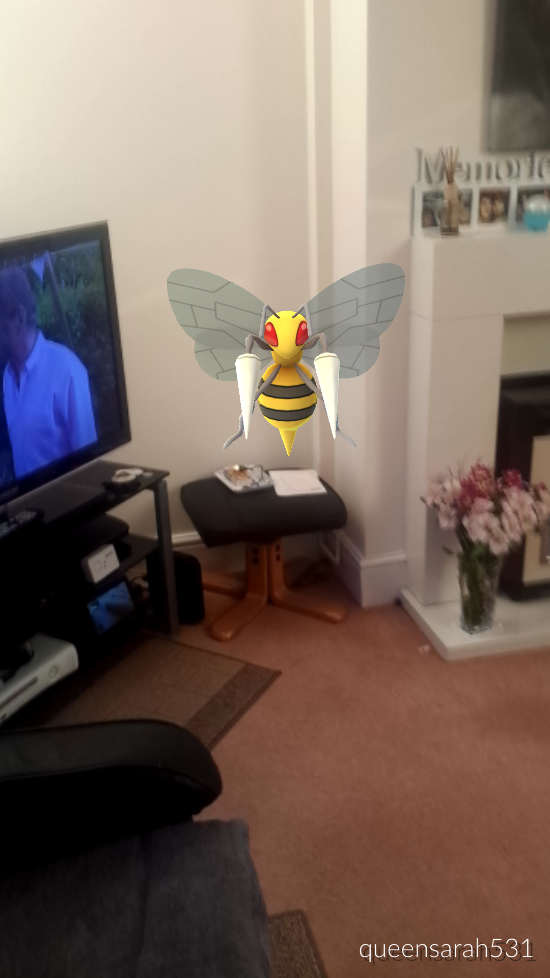 IMG_2016-07-26-20583579