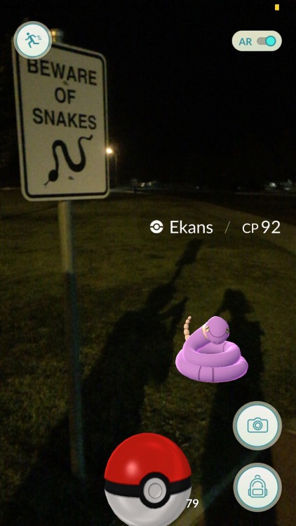 tumblr_oa2itdwHub1qm2ik1o1_500