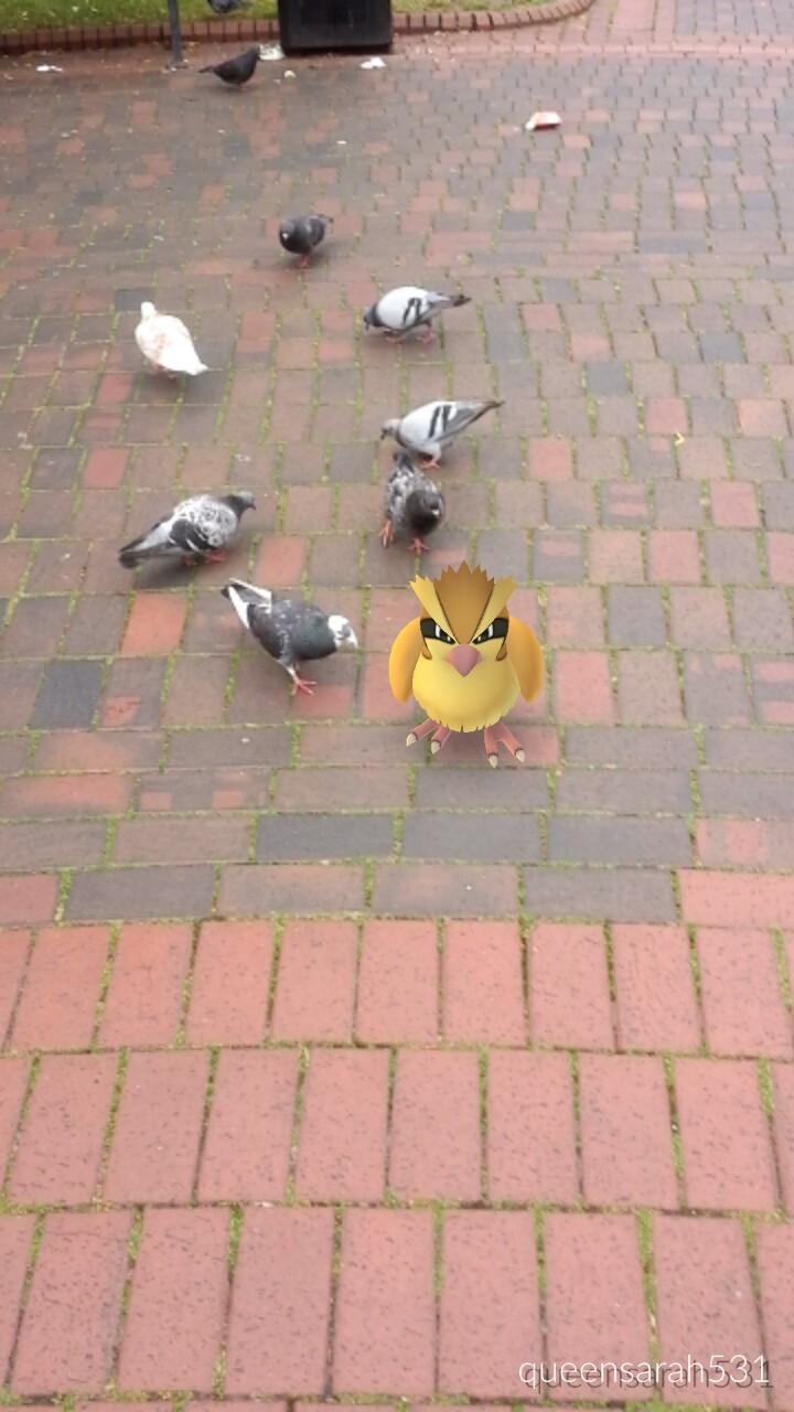 tumblr_ob33nutb501r1rmzqo1_1280