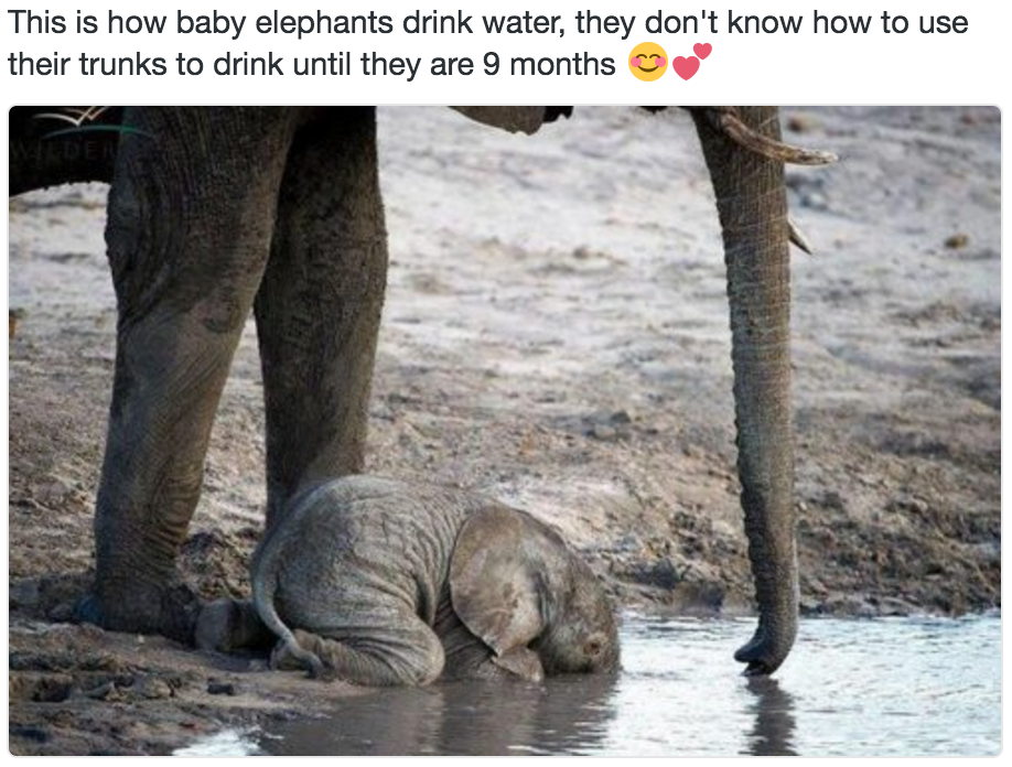 tumblr_odt71yrDEf1uvv5gho1_1280