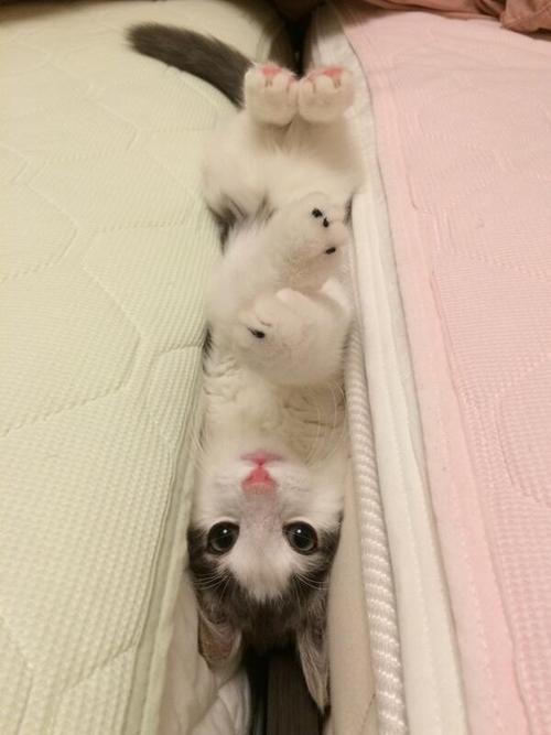 tumblr_n7ezi7wXBD1qk4s2co1_500