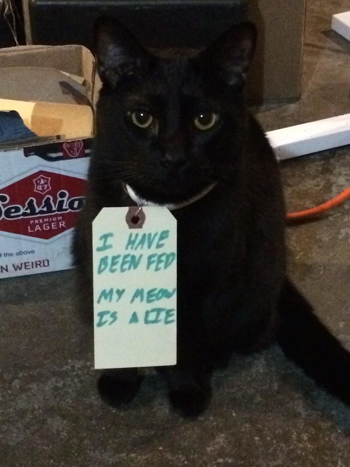 tumblr_o2ax7nrVzM1ro6zlbo1_1280