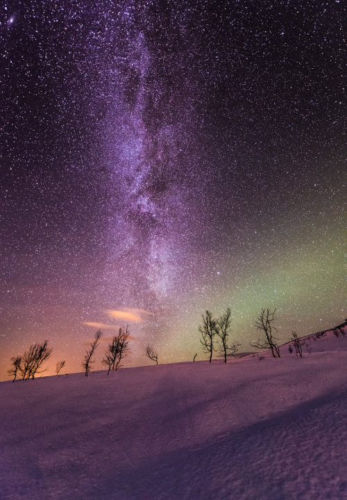 tumblr_mmzyi2DfIi1s4uwt4o1_500