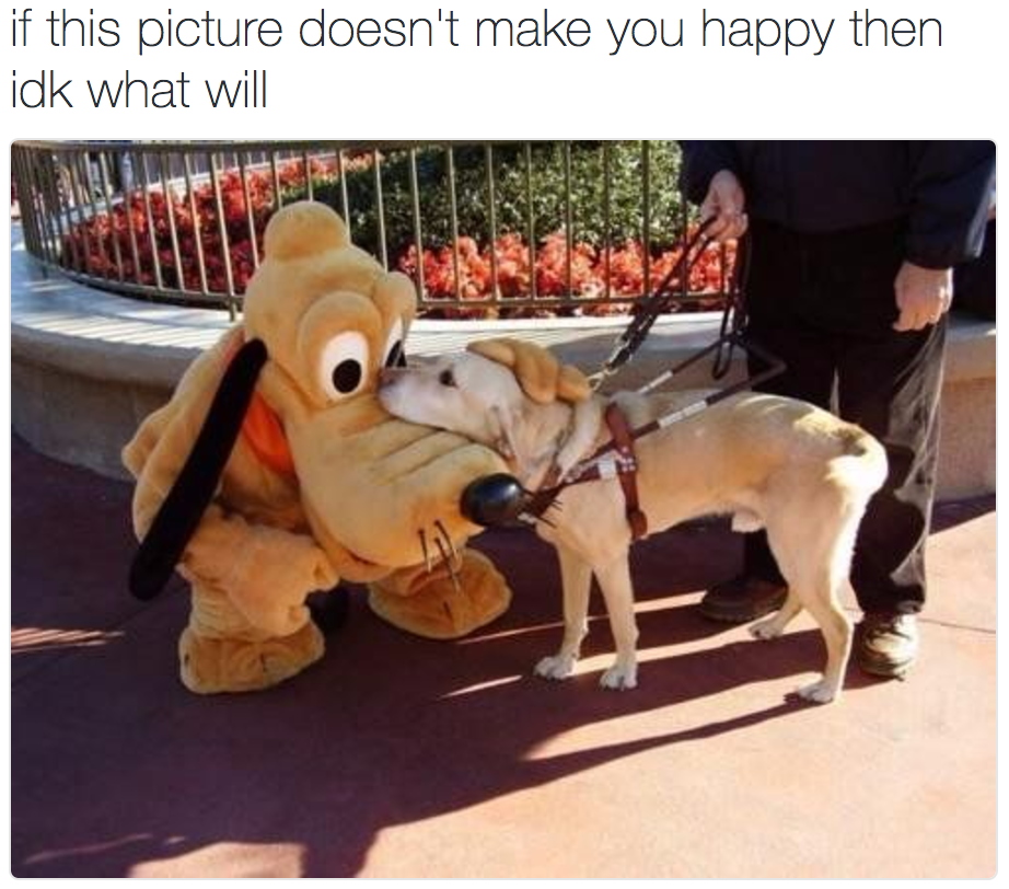 tumblr_ol18t3y18W1uvv5gho1_1280