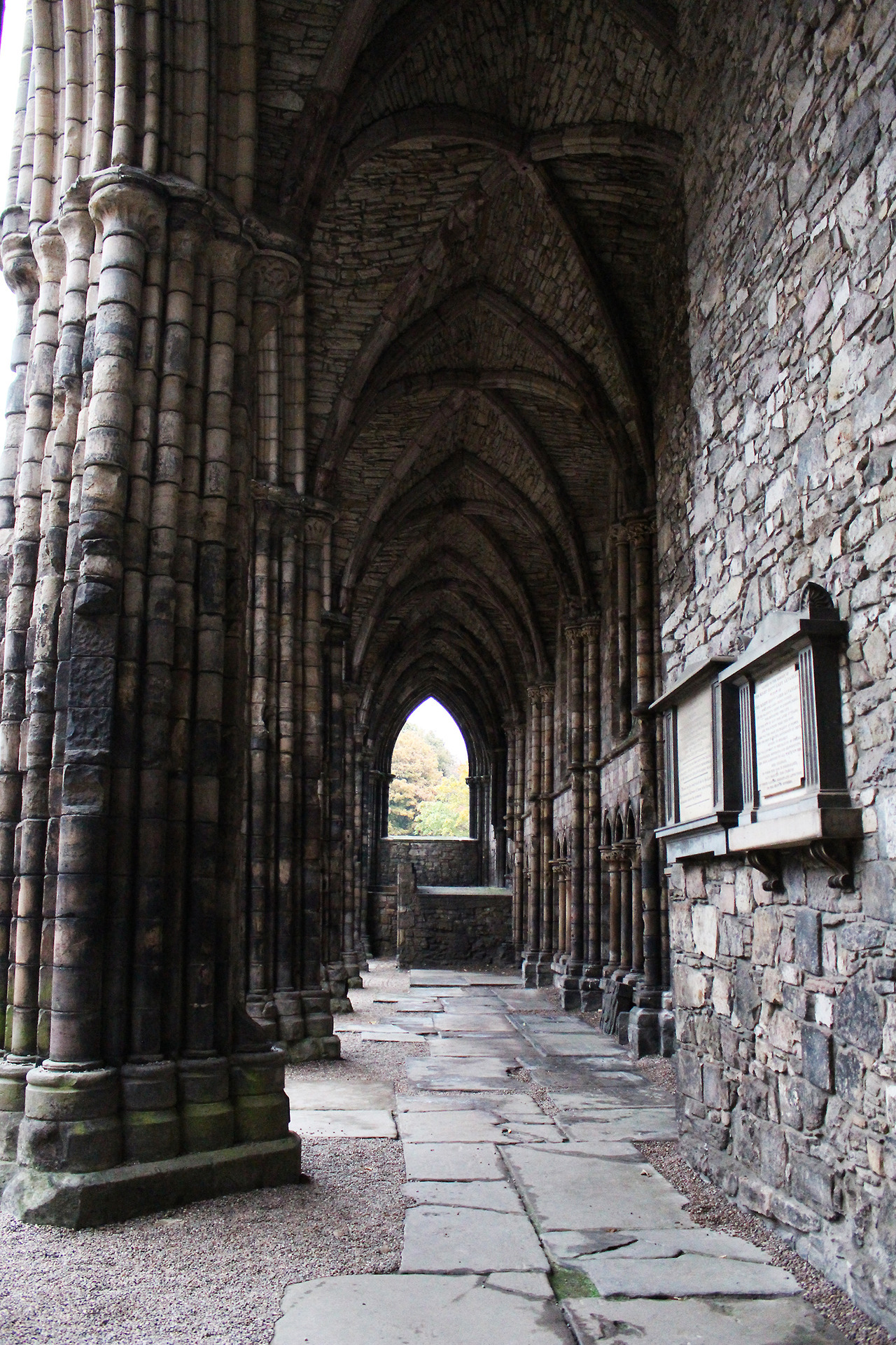 tumblr_omtsgyZo4Q1sw2kh5o1_1280