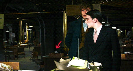 tumblr_opqluxueVN1rp17i7o1_500