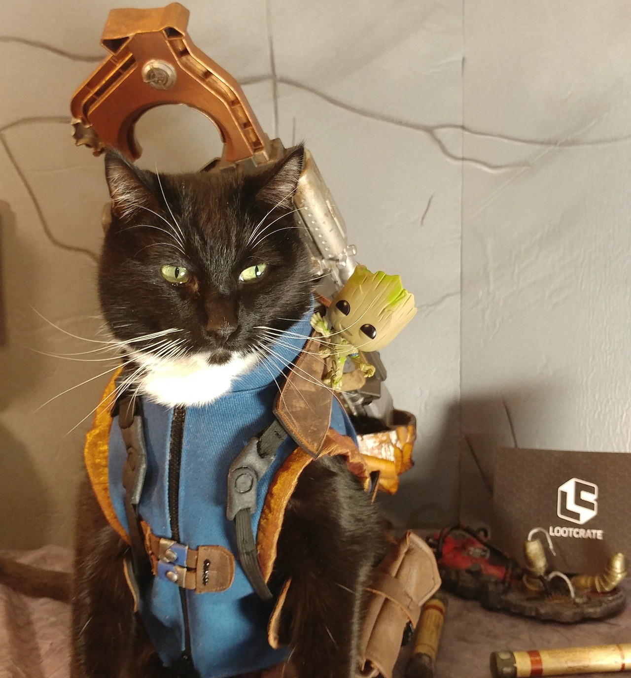 tumblr_oq7laweMOt1rhz81io1_1280