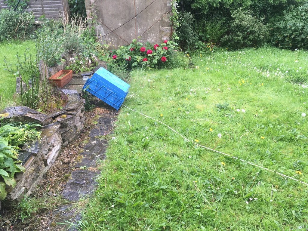 tumblr_oq92wrFXK81rczideo1_1280