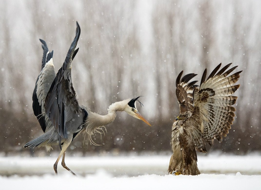 tumblr_o12mqzAgg41qij426o1_1280