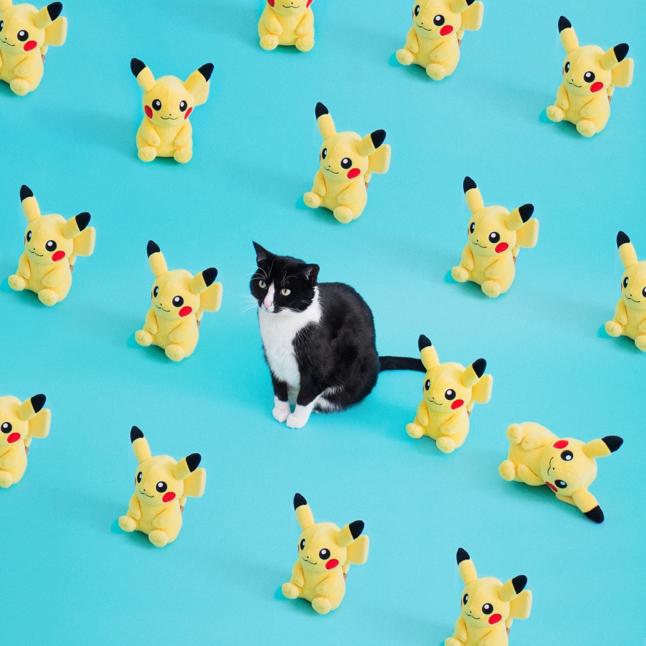 tumblr_onucqxHy2s1tnpywyo1_1280