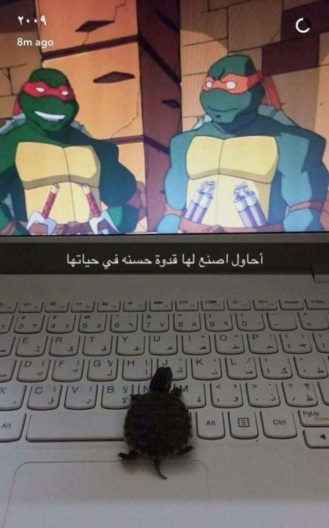 tumblr_opylbkBUaC1u8wa4mo1_1280