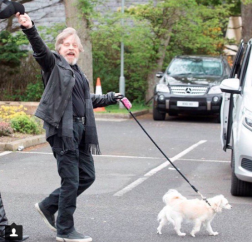 tumblr_oqpdkdpKT41rej1clo1_500