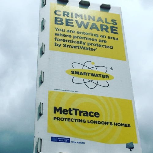 tumblr_or2oodLEWb1r3rsfmo1_500