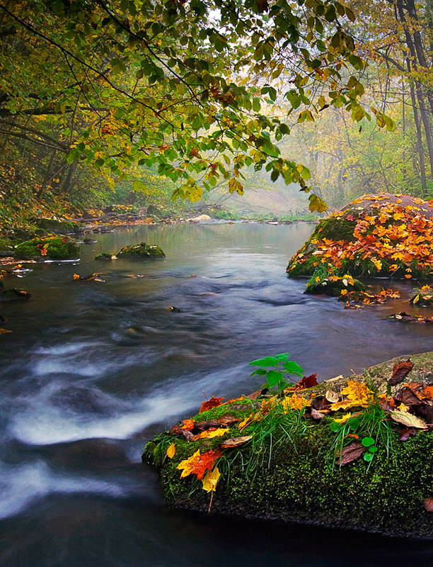 tumblr_odrdd8eTaz1szm930o1_640