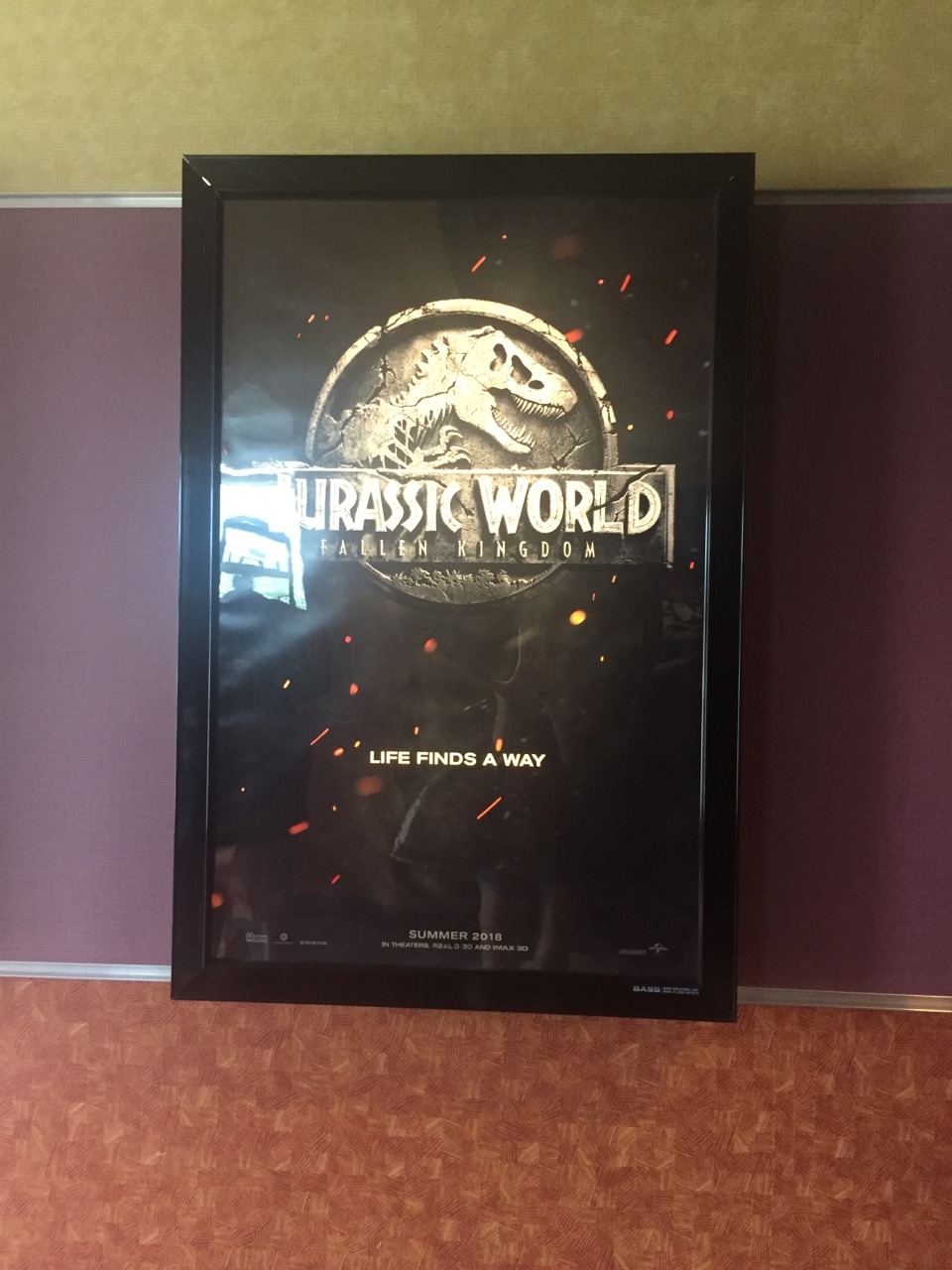 tumblr_otf28puSul1sgzwabo1_1280