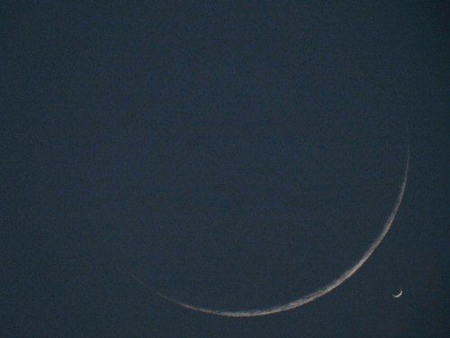 tumblr_nhleb0zyma1tq5rtdo1_500