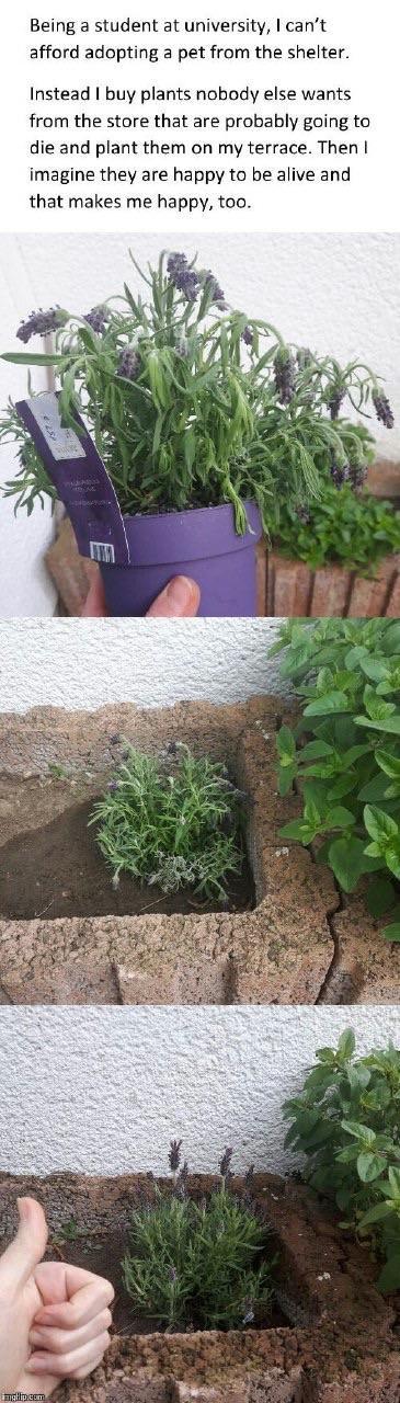 tumblr_oq7h80aJqc1w0f0ozo1_1280