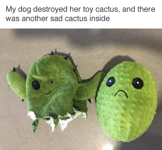 tumblr_oriharLdyS1qewacoo1_540