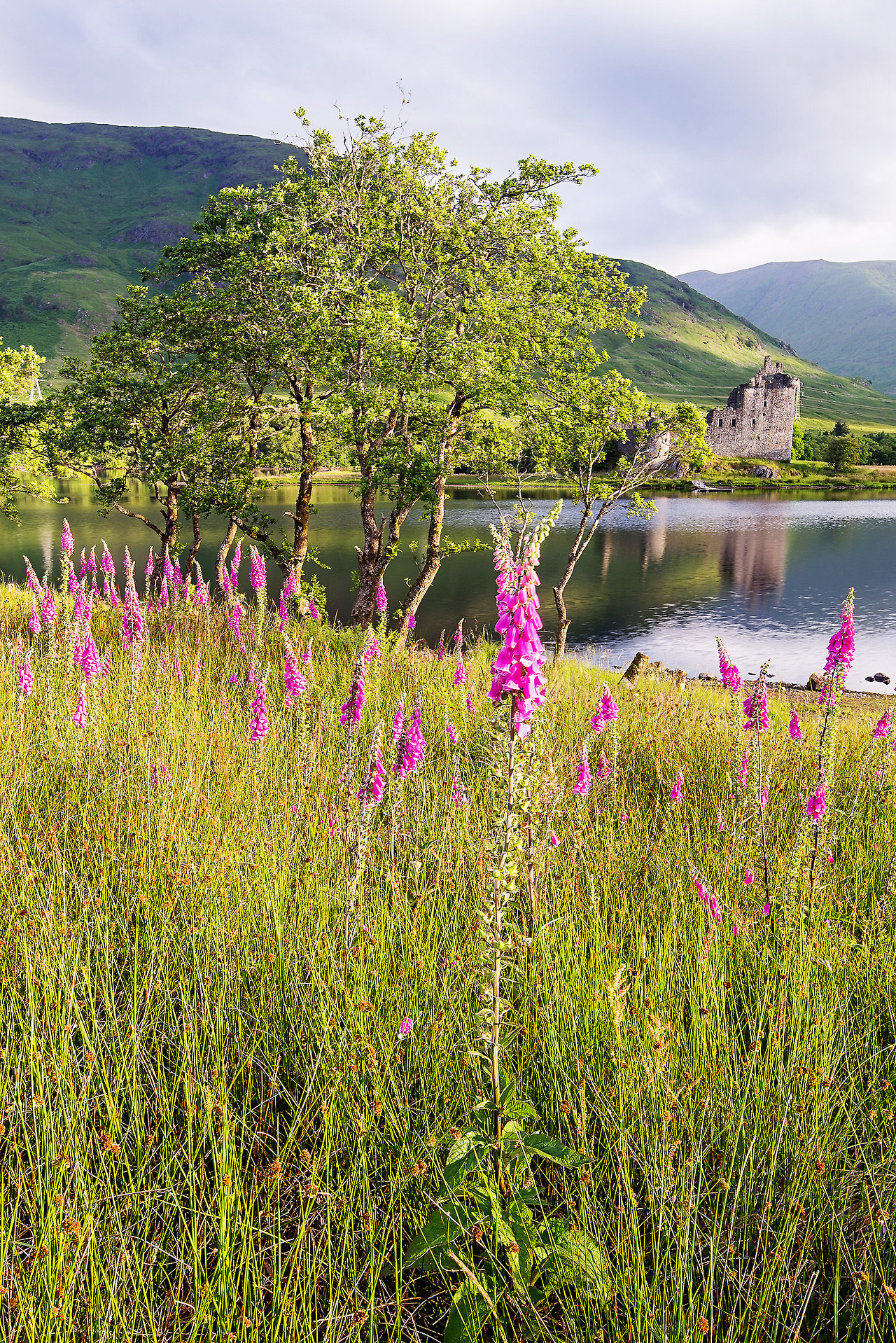 tumblr_ou5n53qZ9c1vh07i3o1_1280