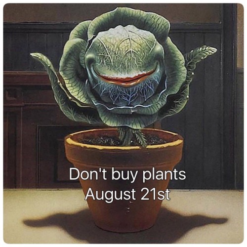 tumblr_ou9rk2LbrN1toqnq4o1_500