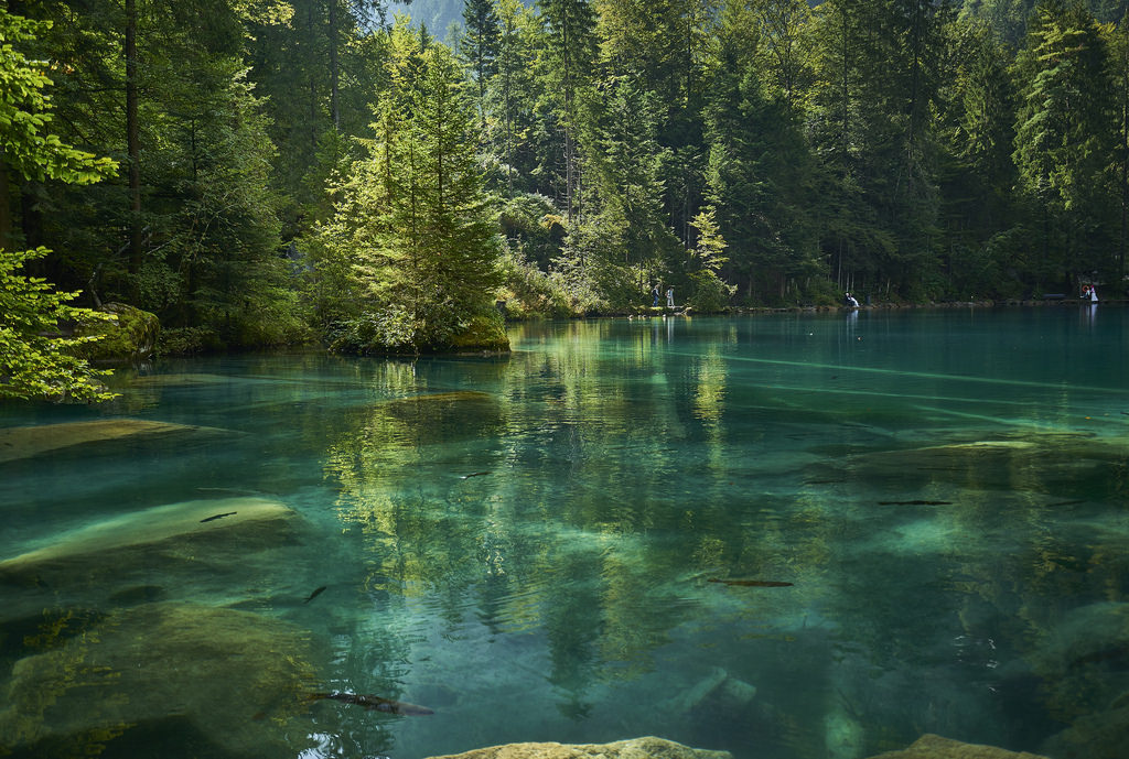 tumblr_ouiz1wAH1w1qb0bzxo1_1280