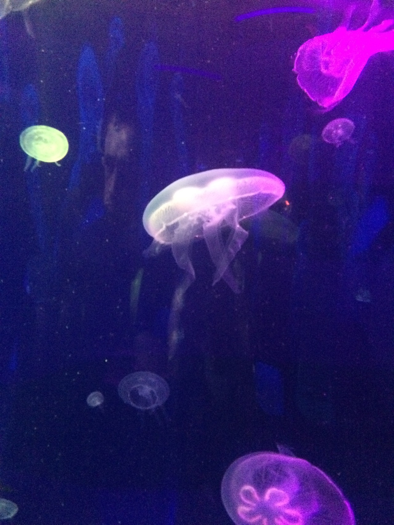 tumblr_oun8fnZBmE1r1rmzqo1_1280