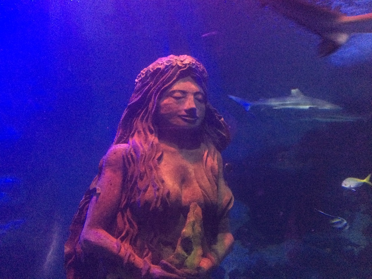 tumblr_oun907prGz1r1rmzqo1_1280