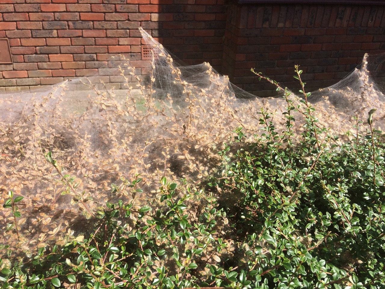 tumblr_ouqcso68dI1r1rmzqo1_1280