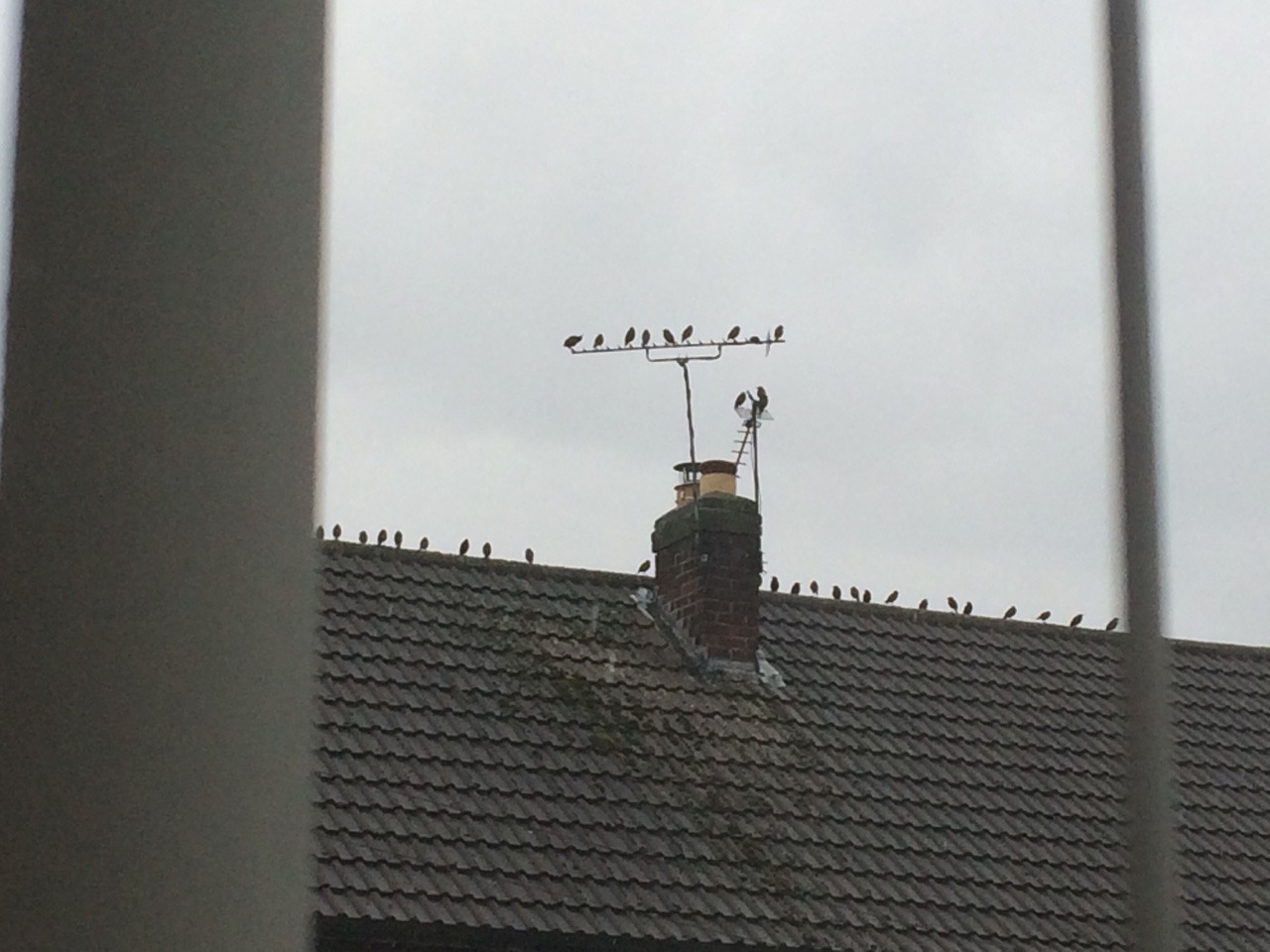 tumblr_ovhrwiKmiA1r1rmzqo1_1280