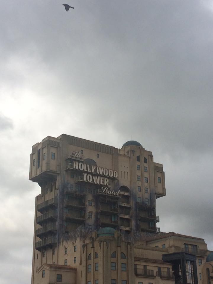 21728094_10155932819879095_6462752591103999810_n