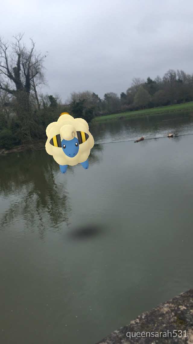 The rare floaty riversheep