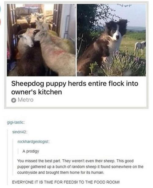 tumblr_p7ho9tbifj1w7u8nmo1_500